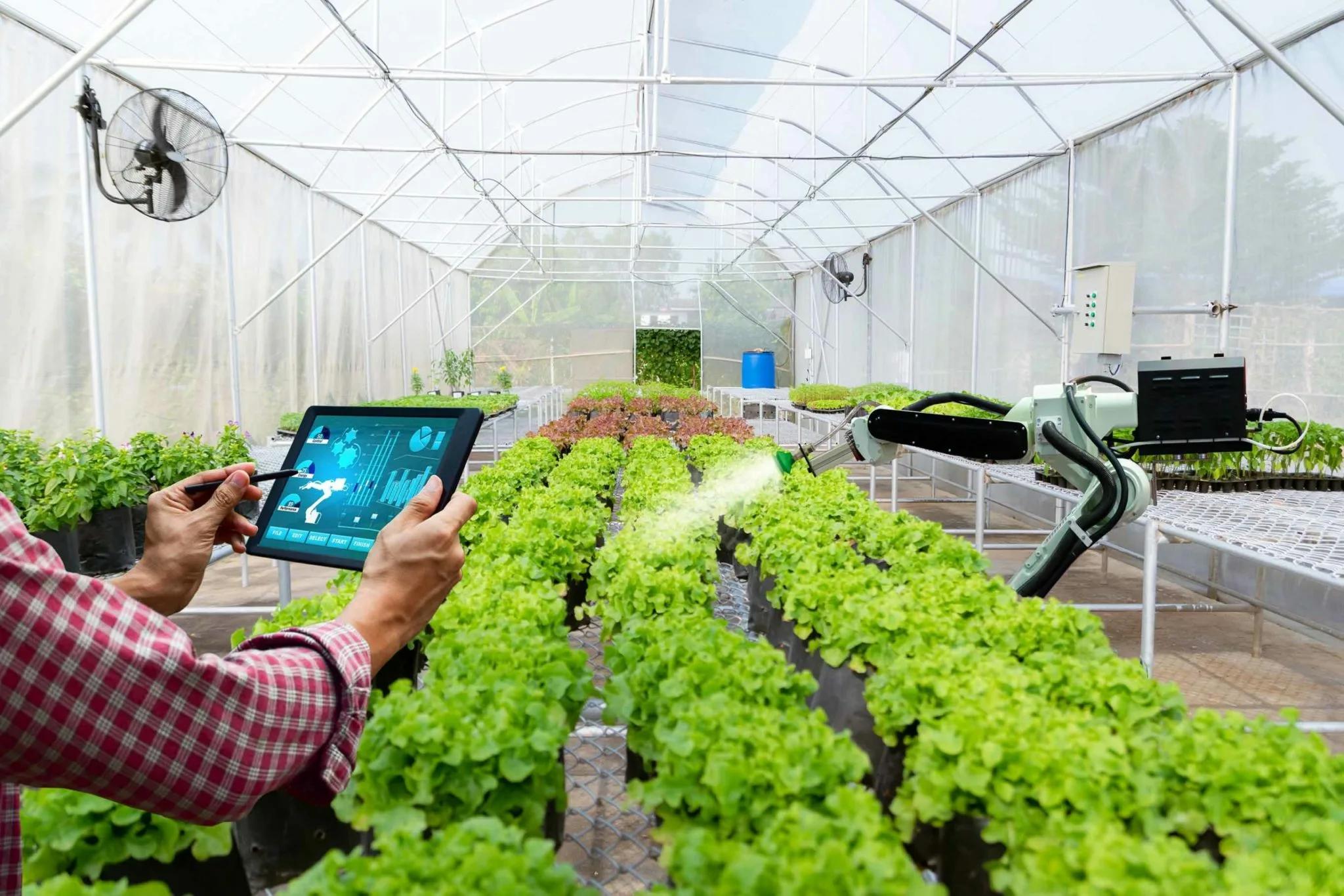 Technological Modernization in the Agricultural Sector